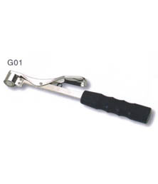 G01